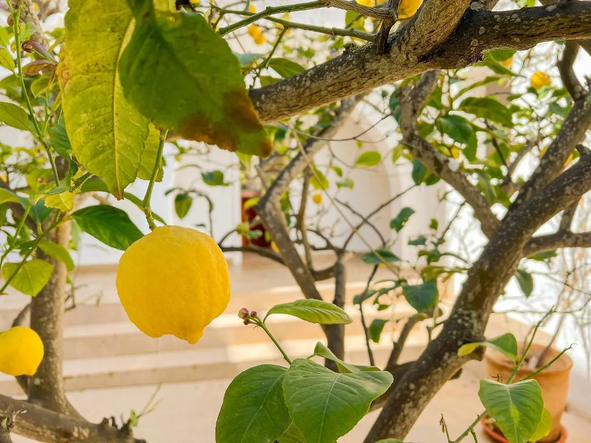 度假居 Villa Guacarachas Cala D´Or